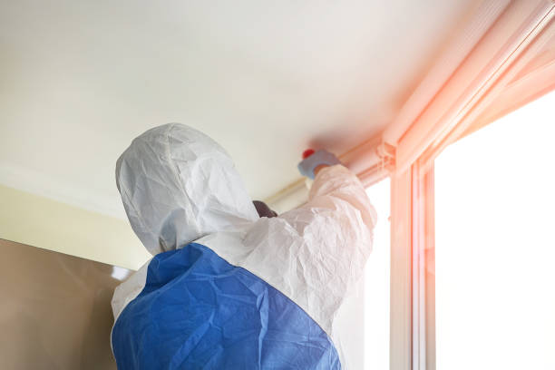 Best Emergency Mold Remediation  in Hays, KS