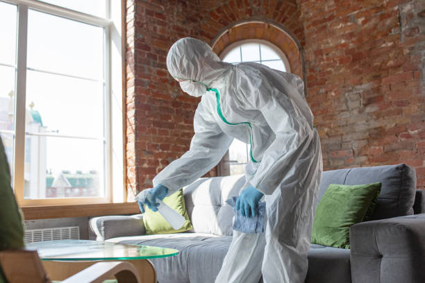 Best Mold Remediation for Rental Properties  in Hays, KS